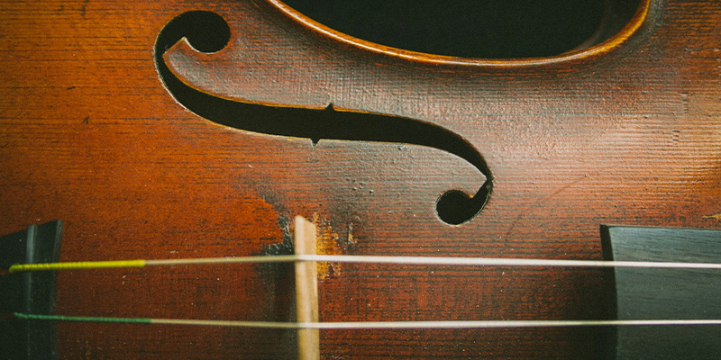 Viola Bridge and strings